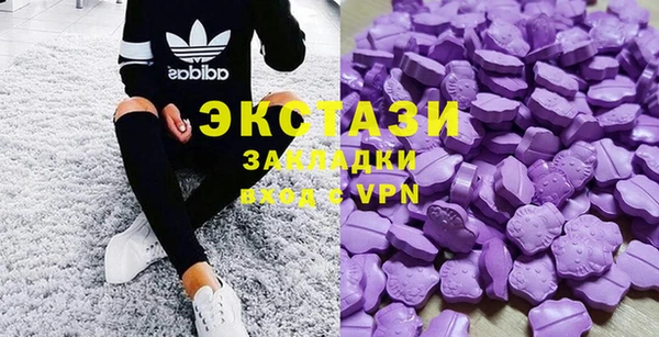 ECSTASY Горняк